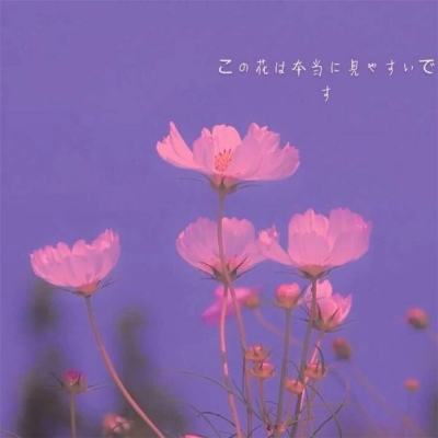 WWW.6576贵宾会平台/手机APP下载